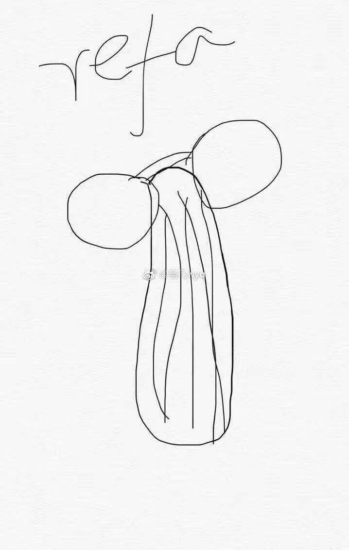 朋友圈微商一件代发,朋友圈里的微商代购