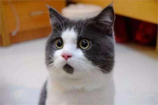 空气除湿办法,在海南最有效的除湿方法