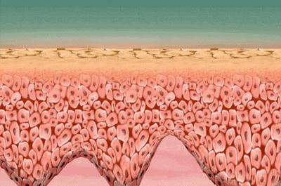 护肤小红书都在推荐的安瓶面膜,护肤补水推荐小红书