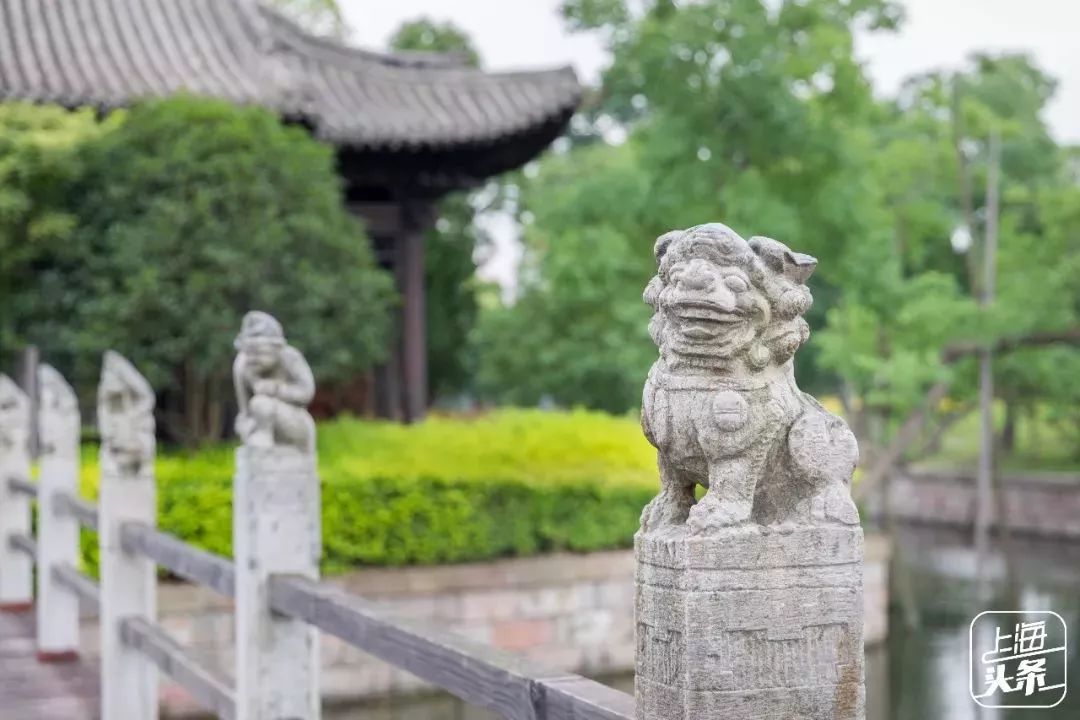 去处|个记结棍了!上海这个古镇被国家点名,目测要火!