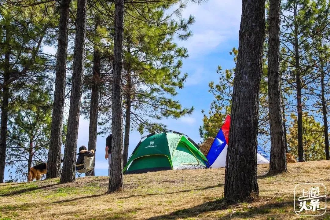 去处｜个记结棍了！上海这个古镇被国家点名，目测要火！