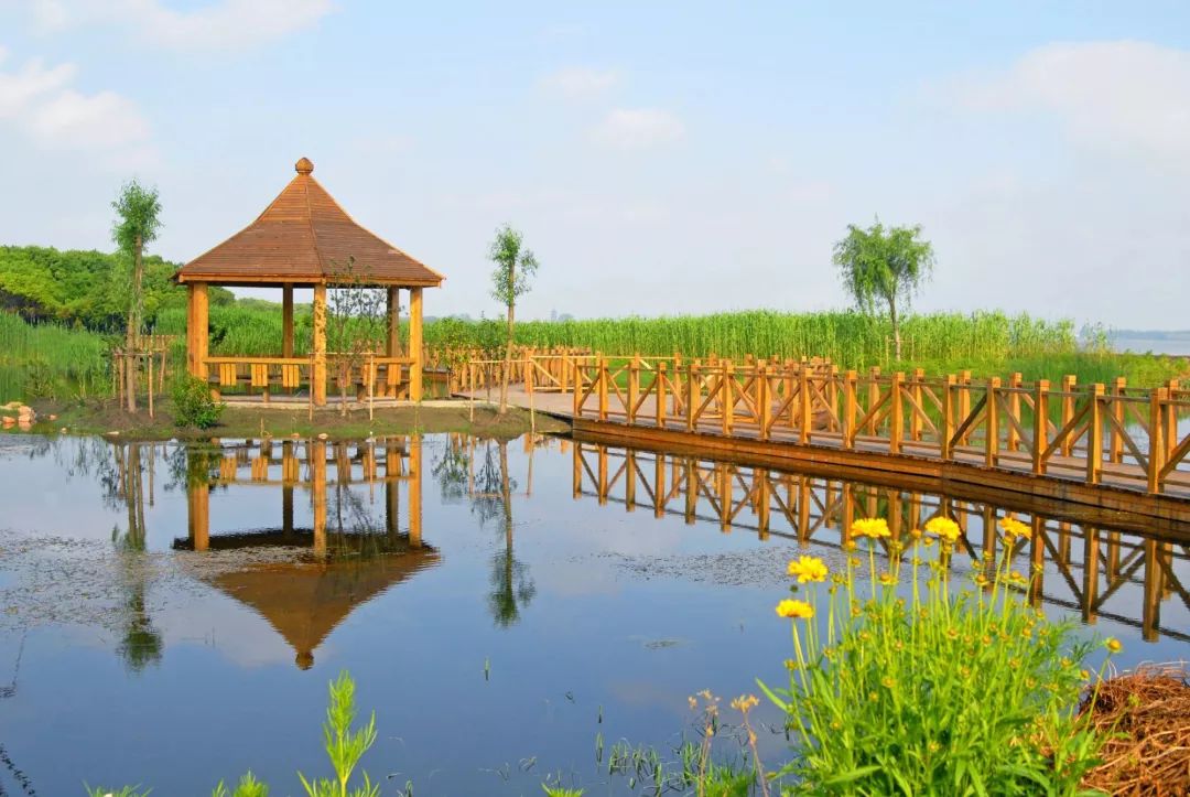 去处|个记结棍了!上海这个古镇被国家点名,目测要火!