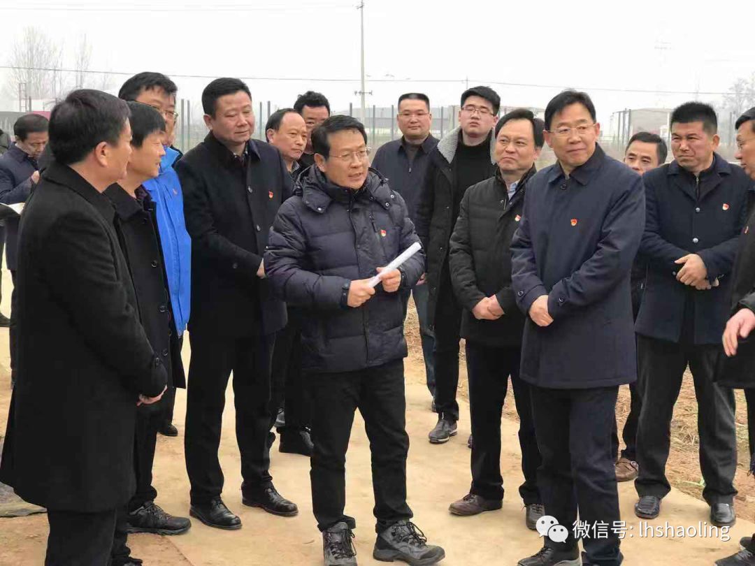 漯河召陵今天新闻头条,精彩召陵