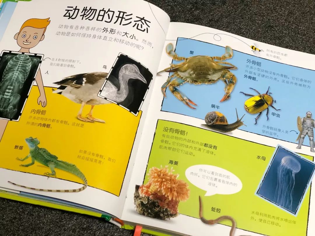 现在的孩子真是不知道怎么想的,现在的孩子真的是脑洞大开