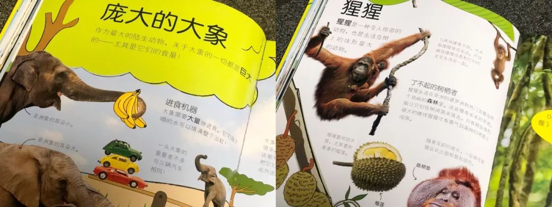 现在的孩子真是不知道怎么想的,现在的孩子真的是脑洞大开