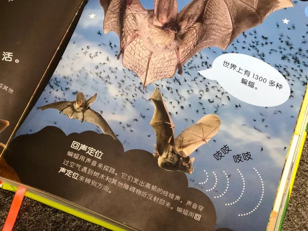 现在的孩子真是不知道怎么想的,现在的孩子真的是脑洞大开