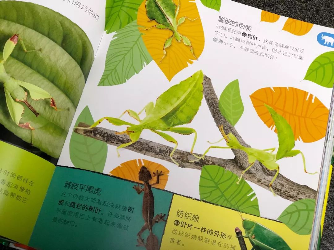 现在的孩子真是不知道怎么想的,现在的孩子真的是脑洞大开