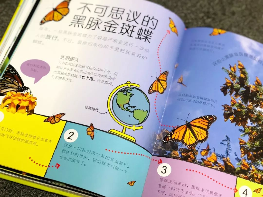 现在的孩子真是不知道怎么想的,现在的孩子真的是脑洞大开