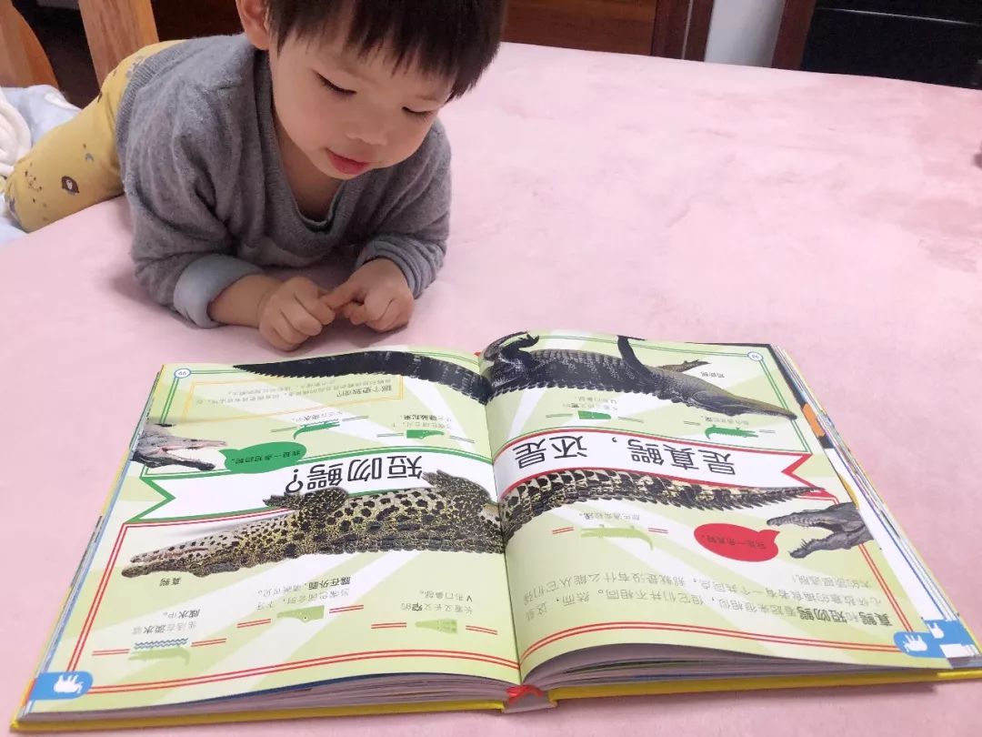 现在的孩子真是不知道怎么想的,现在的孩子真的是脑洞大开