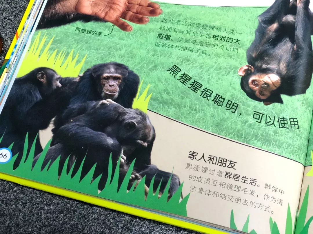 现在的孩子真是不知道怎么想的,现在的孩子真的是脑洞大开