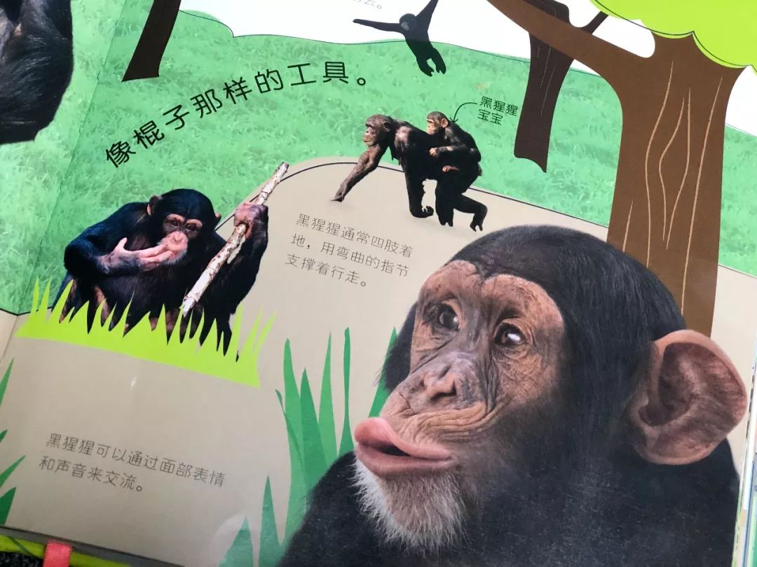 现在的孩子真是不知道怎么想的,现在的孩子真的是脑洞大开