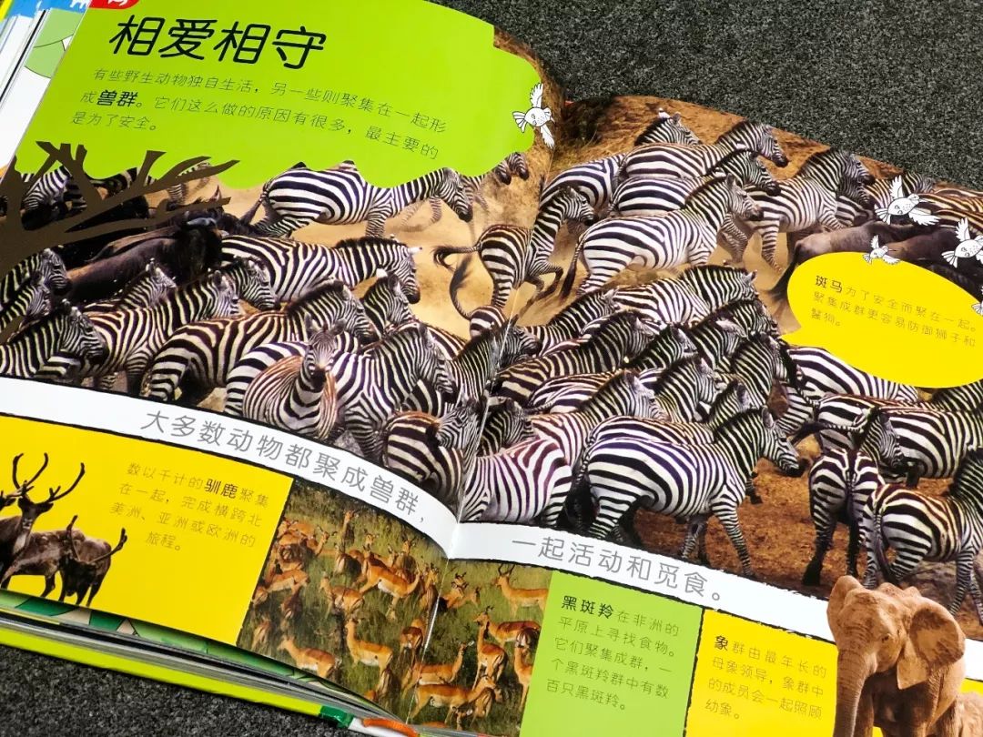 现在的孩子真是不知道怎么想的,现在的孩子真的是脑洞大开