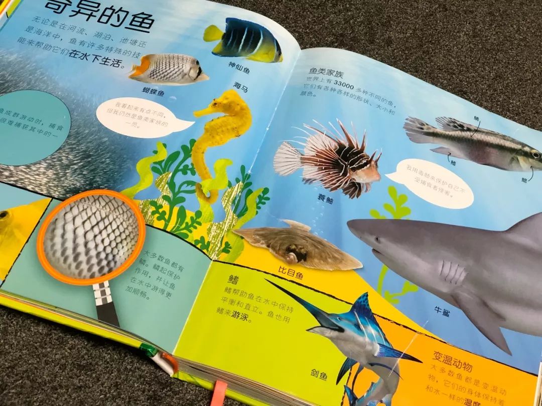 现在的孩子真是不知道怎么想的,现在的孩子真的是脑洞大开