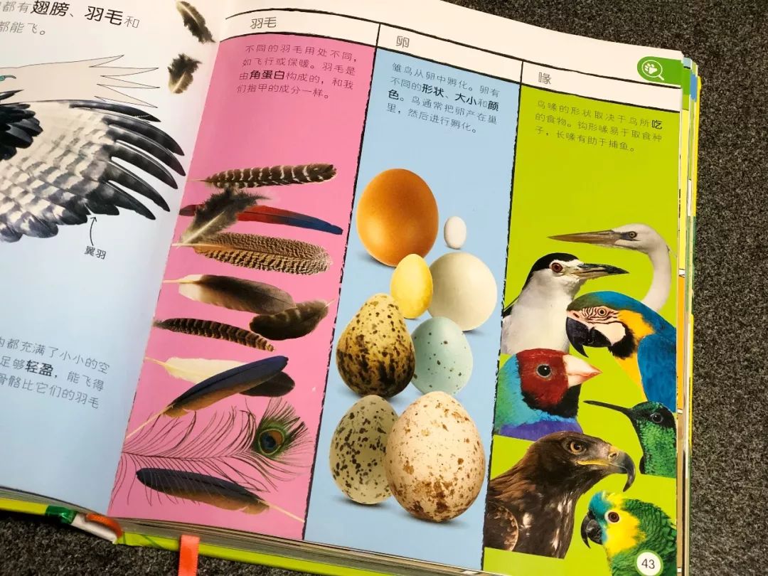 现在的孩子真是不知道怎么想的,现在的孩子真的是脑洞大开