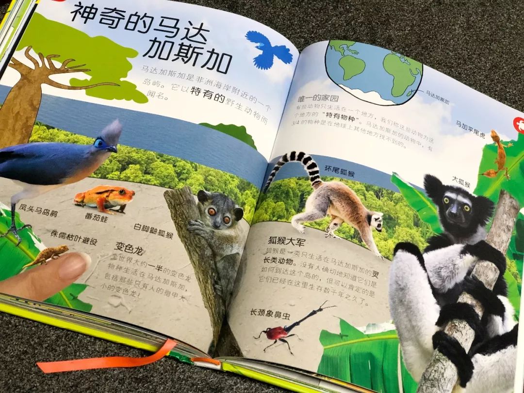 现在的孩子真是不知道怎么想的,现在的孩子真的是脑洞大开