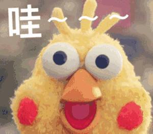 增加生活舒适感的平价小物,增添幸福感的日常小物推荐