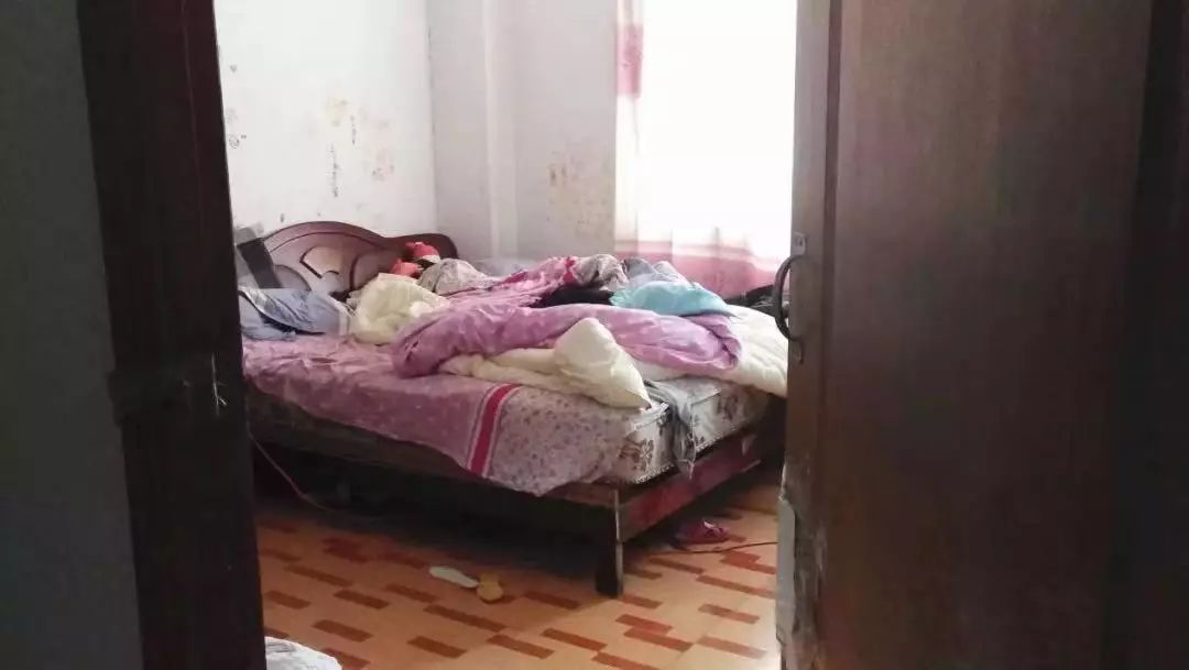 鏄ヨ妭涓撻」鎵ц琛屽姩缁撴灉,鏂版槬鎵ц鏀诲潥娲诲姩姝ｅ紡鍚姩