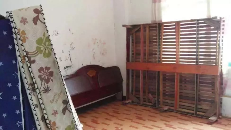 鏄ヨ妭涓撻」鎵ц琛屽姩缁撴灉,鏂版槬鎵ц鏀诲潥娲诲姩姝ｅ紡鍚姩