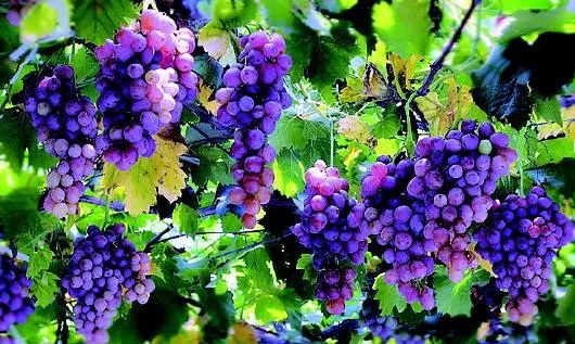 女子这个部位满是“沙子”，不得不全部切除！只因这项坑惨无数人的操作