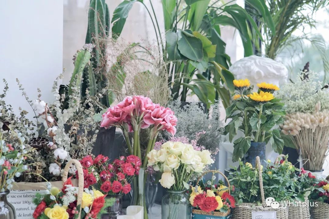 两年往返日本30次,她带回武汉人变美的秘籍