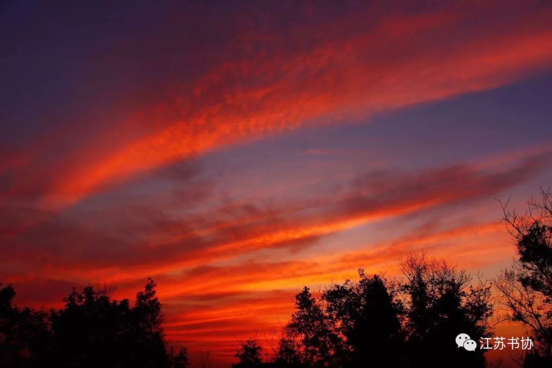 顾城的经典诗句感悟,顾城最经典的十首诗词