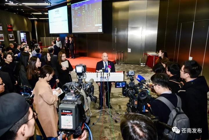 苍南仪表集团在香港,浙江苍南仪表有限公司