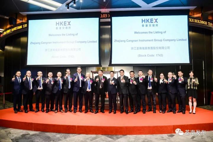 苍南仪表集团在香港,浙江苍南仪表有限公司