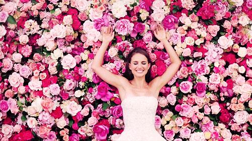 那些写香评的人文采有多好？让你隔屏闻到香水味儿丨夜听双语