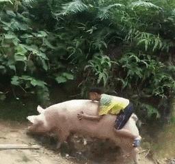 开心一笑每日一笑,笑一笑烦恼消