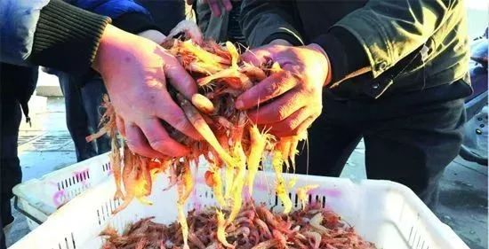 买的烤虾有股刺鼻气味是啥,菜场买的活虾有煤油味