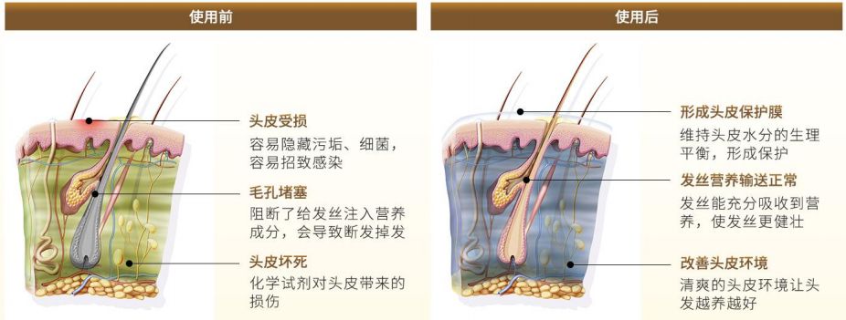 香味浓郁持久偶像的洗发水推荐,2018年最好用的洗发水