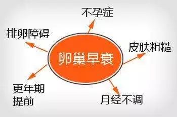 听到卵巢“早衰”，你害怕了吗？