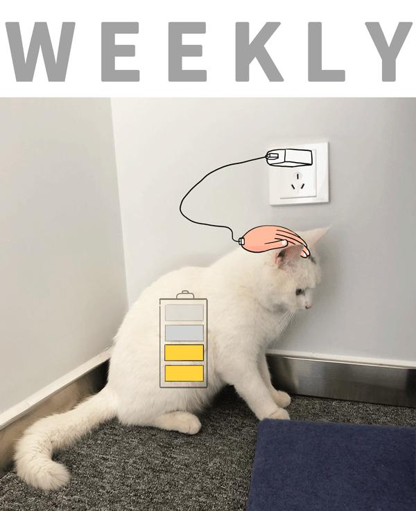 日本性产业越来越“不色情”了，这或许揭示着性的本质｜WEEKLY