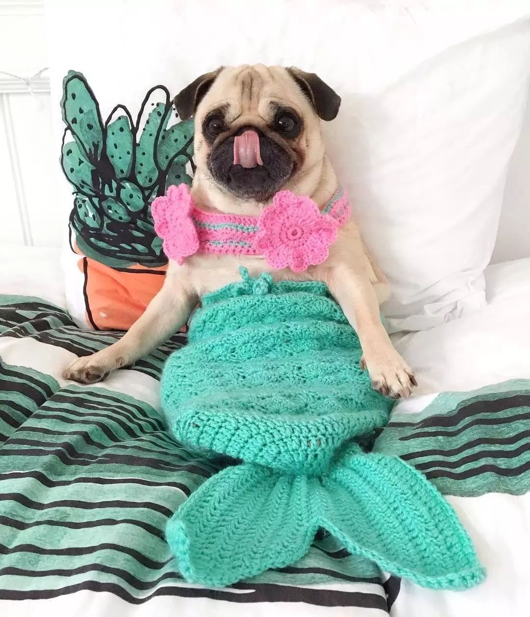 好看的皮囊三百多斤,好看的皮囊3000什么梗