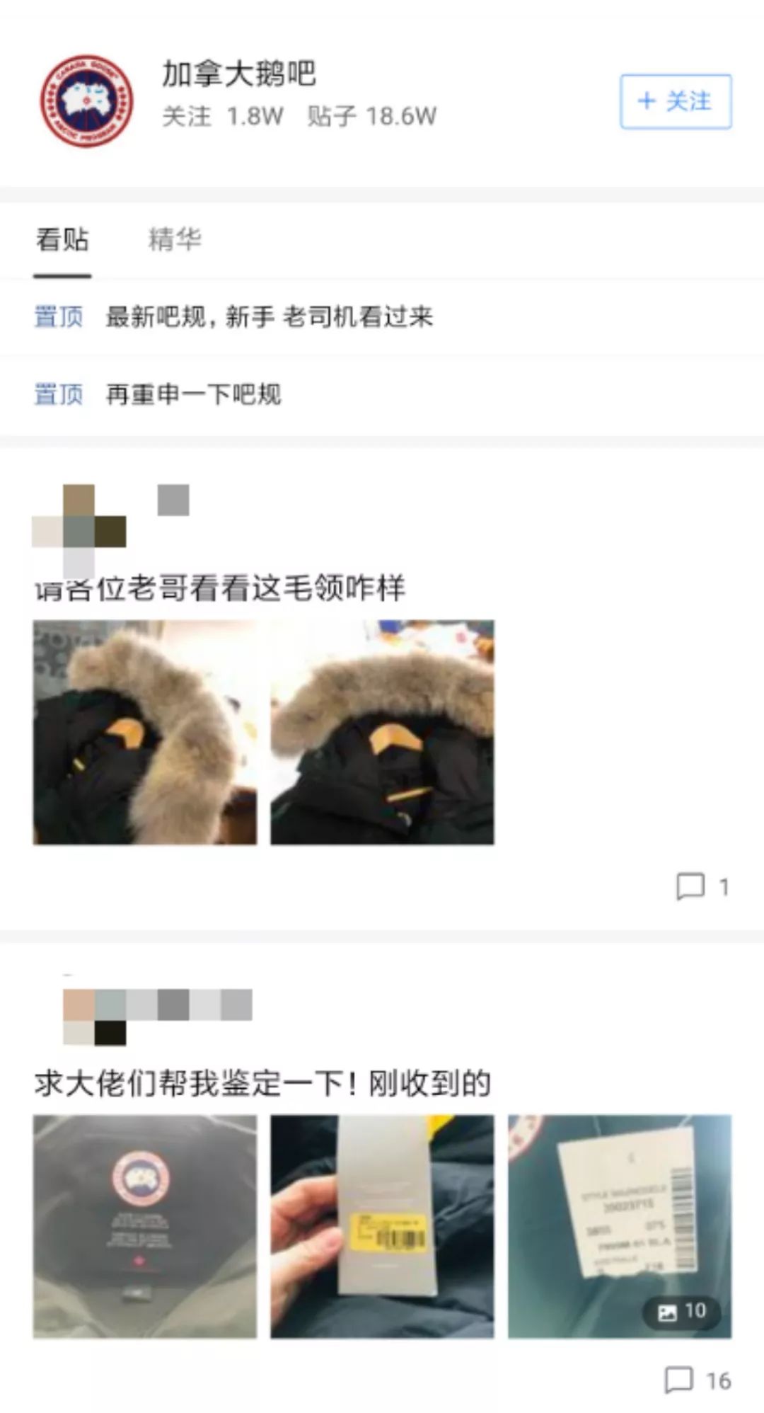 网易考拉上买的加拿大鹅羽绒服,网易考拉比淘宝还便宜是正品吗