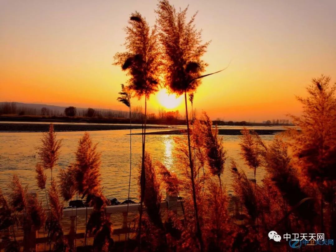 中卫其实也就是这样，但我们就是心心念念，忘不了······