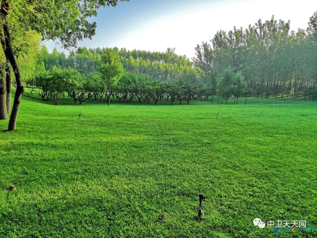 中卫其实也就是这样，但我们就是心心念念，忘不了······