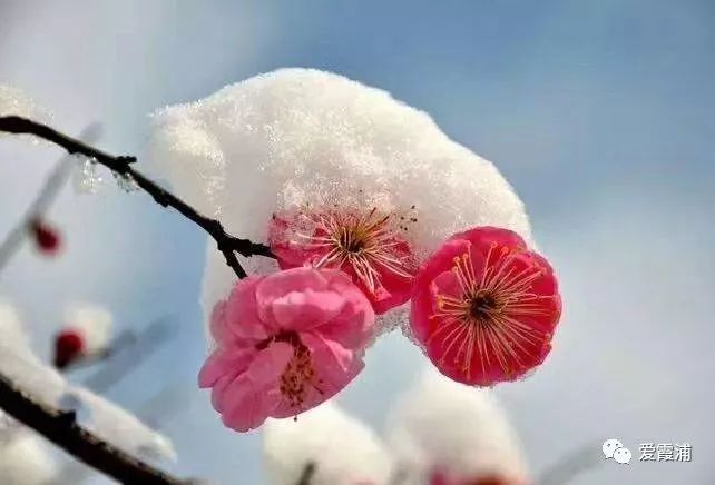 「霞浦天气」小寒养生注意养肾防寒,霞浦人要多吃这三种肉