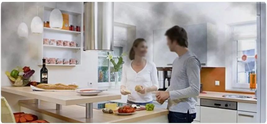 超级空气净化绿萝来了！美科学家培育出转基因绿萝，能高效去除室内的苯和氯仿等有机致癌污染物｜奇点猛科技