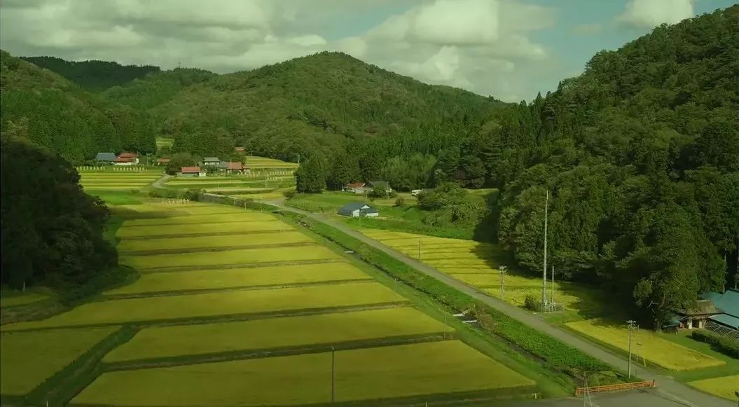 日本十部最好看的动漫电影,必看10部经典日本电影