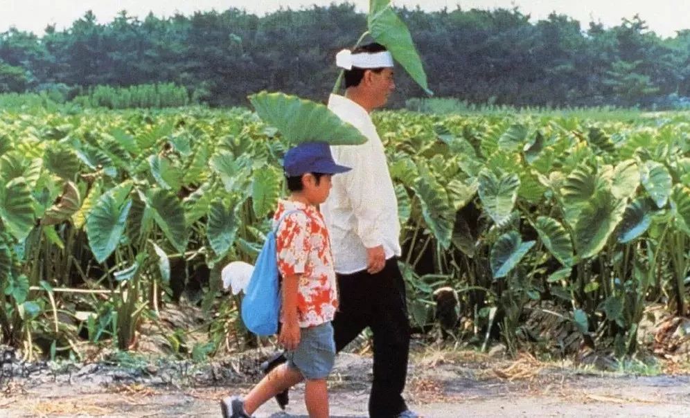 日本十部最好看的动漫电影,必看10部经典日本电影