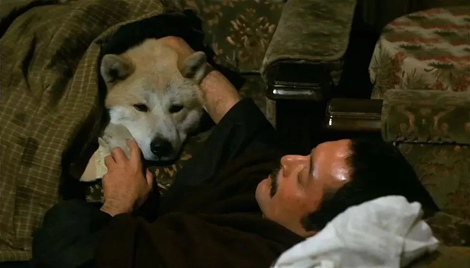 日本十部最好看的动漫电影,必看10部经典日本电影