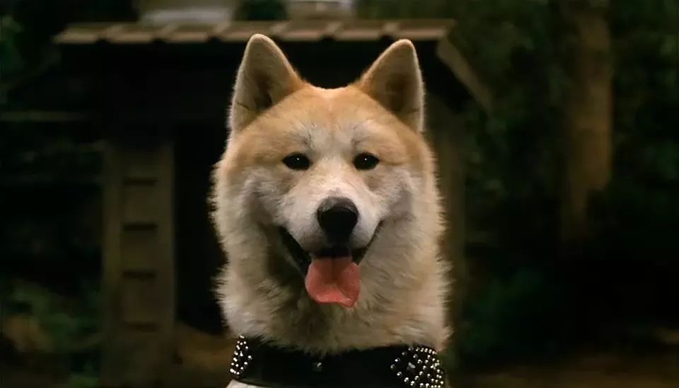 日本十部最好看的动漫电影,必看10部经典日本电影