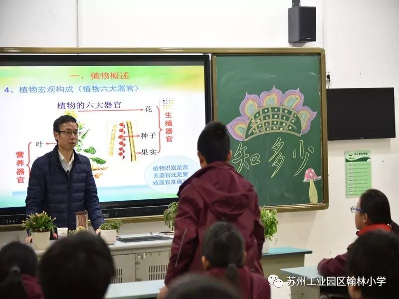 苏州这所小学有194位博士家长，一年上了60多节博士课