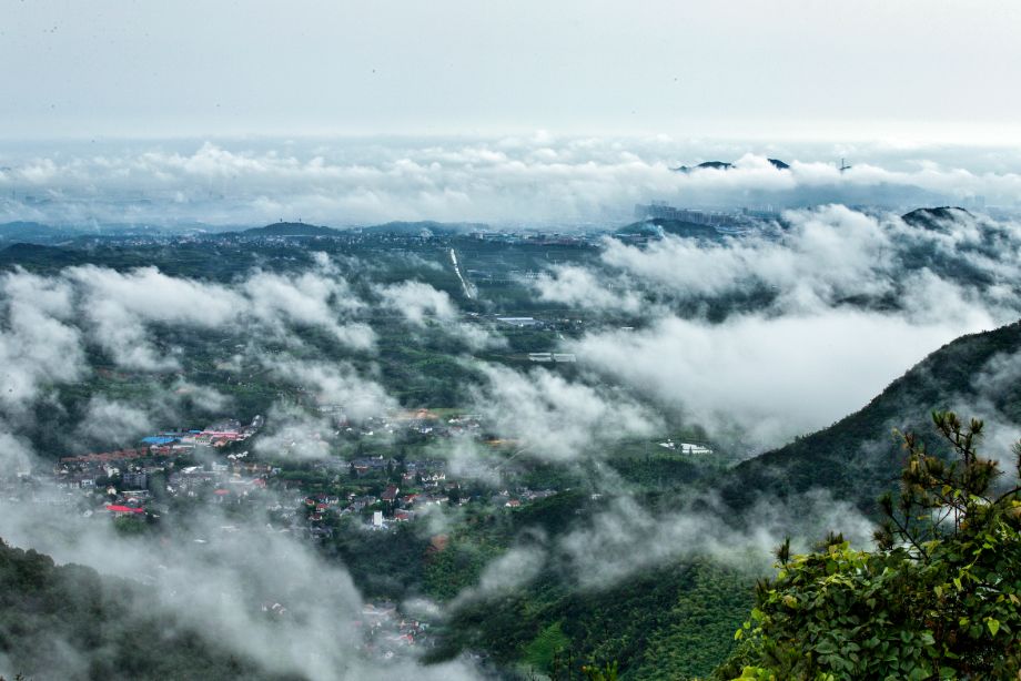 张抗抗故乡在远方视频,张抗抗眼中的哈尔滨