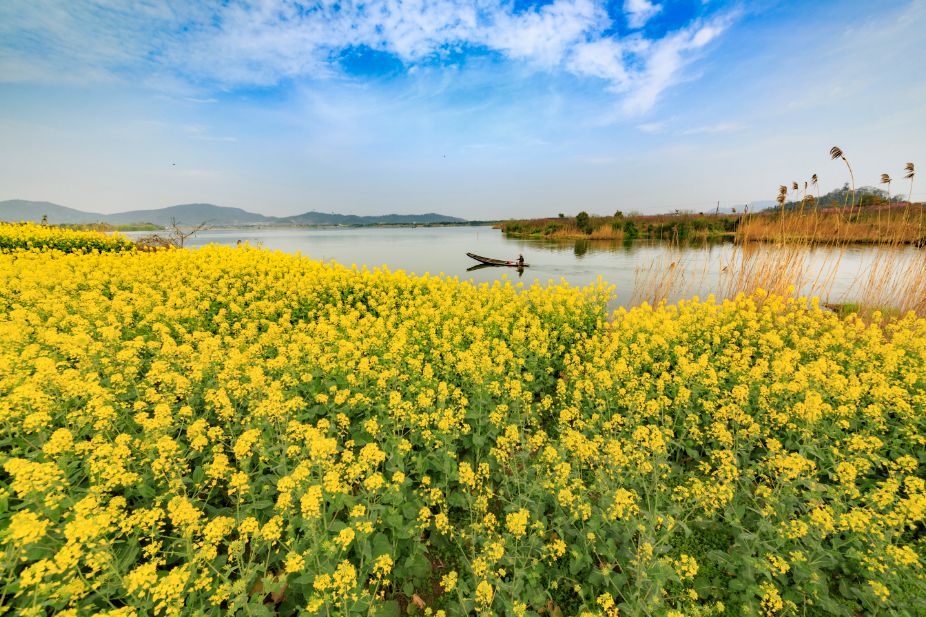张抗抗故乡在远方视频,张抗抗眼中的哈尔滨