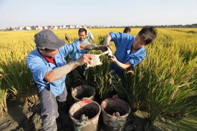 张抗抗故乡在远方视频,张抗抗眼中的哈尔滨