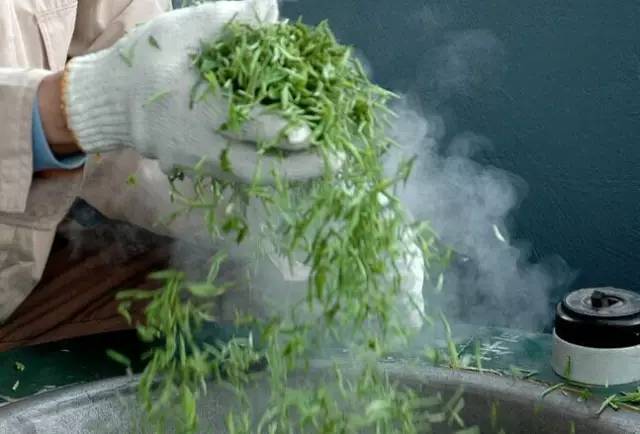 张抗抗故乡在远方视频,张抗抗眼中的哈尔滨