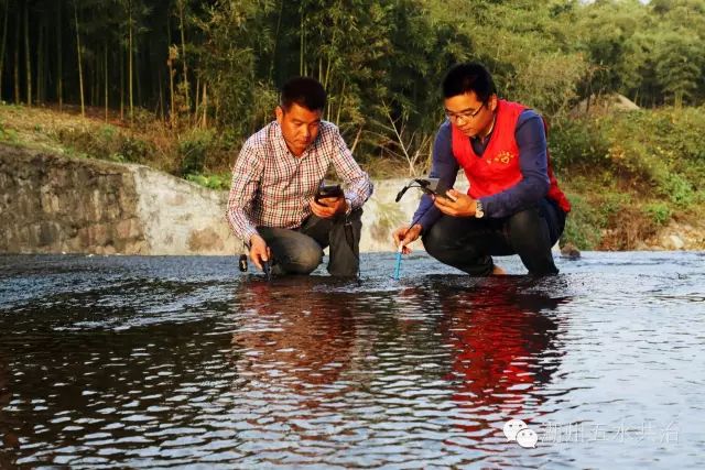 张抗抗故乡在远方视频,张抗抗眼中的哈尔滨