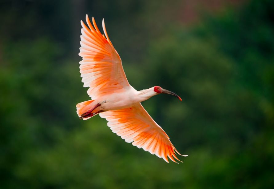 张抗抗故乡在远方视频,张抗抗眼中的哈尔滨